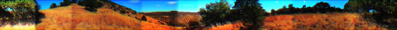 Davis Mountains